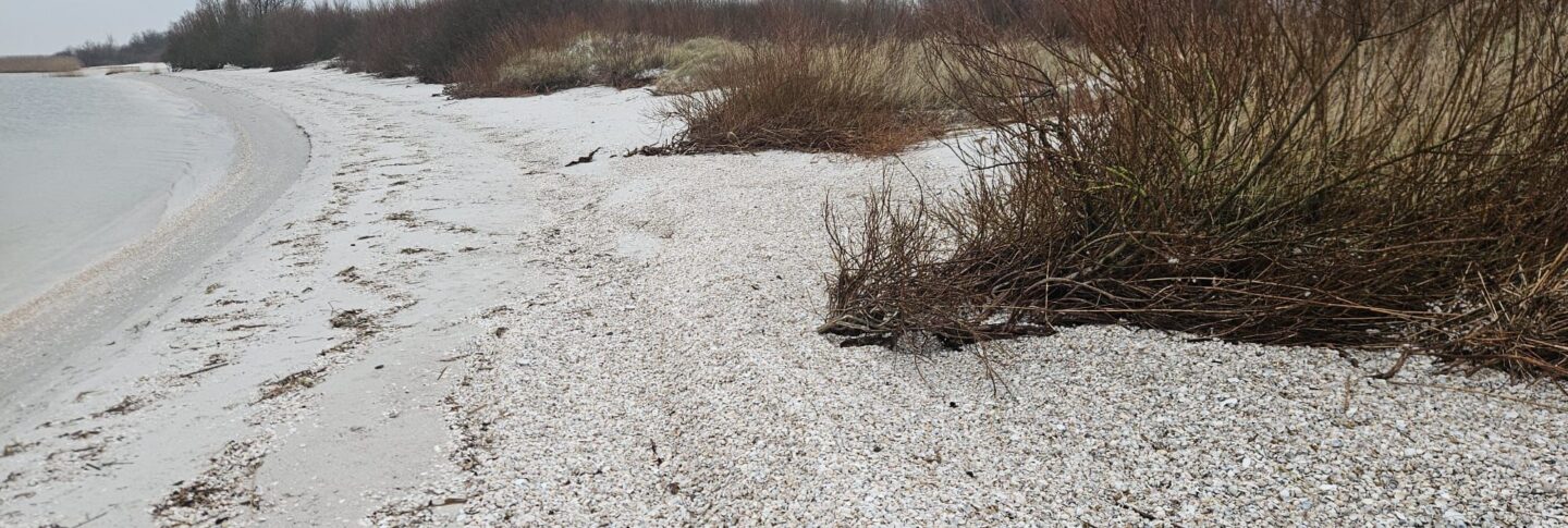 Kustlijn van de Makkumer Noordwaard